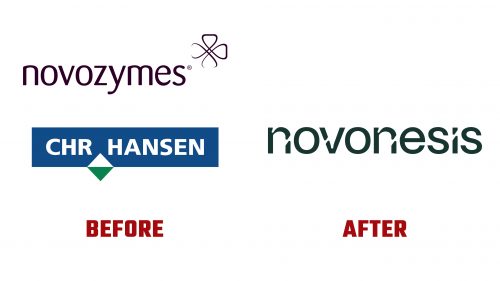 Novonesis Logo Evolution