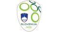 Slovenia National Football Team Logo