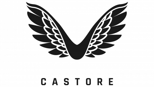 Castore Logo