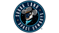 Sugar Land Space Cowboys Logo
