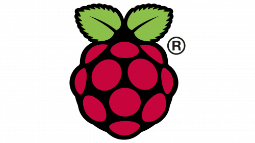 Raspberry Pi Logo