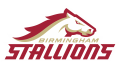 Birmingham Stallions Logo