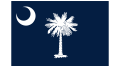 Palmetto Tree Logo