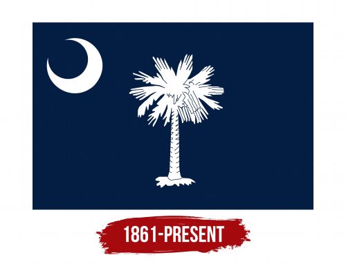 Palmetto Tree Logo History