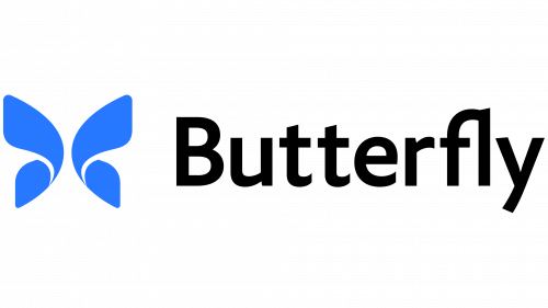 Butterfly Networks Logo