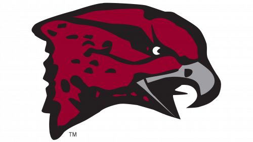 Maryland-Eastern Shore Hawks Logo 2007