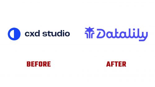 Datalily Logo Evolution
