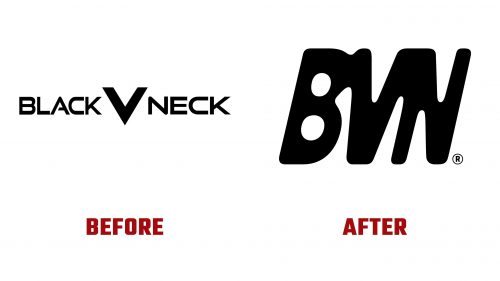 BVN Logo Evolution