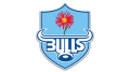 Bulls Logo