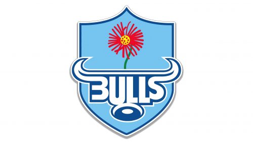 Bulls Logo