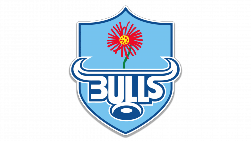 Bulls Logo