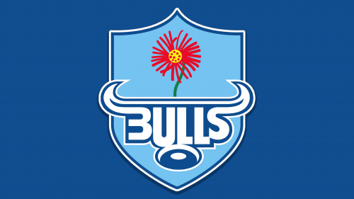 Bulls Symbol