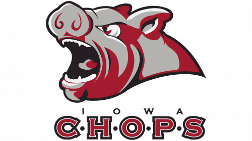 Iowa Stars Logo 2008