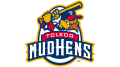 Toledo Mud Hens Logo
