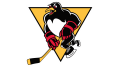 Wilkes-Barre Scranton Penguins Logo