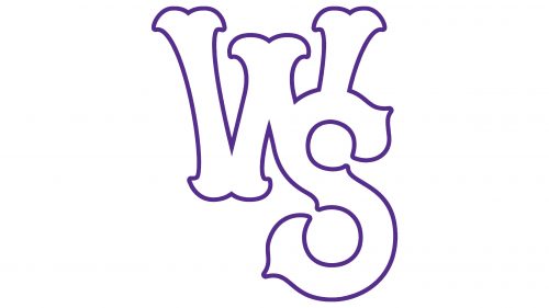 Winston-Salem Dash Logo