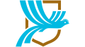 FedeFut Guatemala Logo New