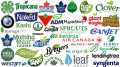 Most Famous Logos With a Leaf