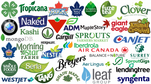 Most Famous Logos With a Leaf