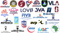 Most Famous Volleyball Logos