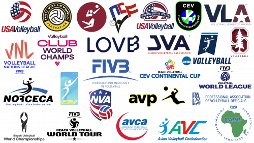 Most Famous Volleyball Logos