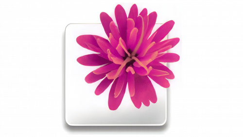 Illustrator Logo 2003