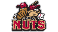 Modesto Nuts Logo