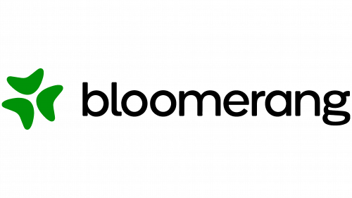 Bloomerang Logo Old