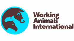 Working Animals International Logo New