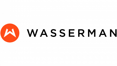 The·Team Logo Old